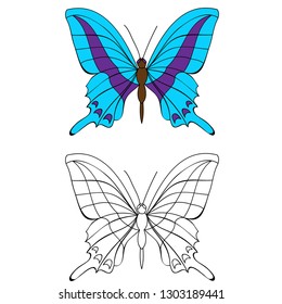 Insect Butterfly Coloring Book Stock Vector (royalty Free) 1303189441 