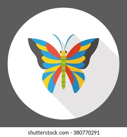 insect butterfly flat icon