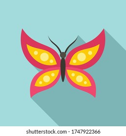 Insect butterfly icon. Flat illustration of insect butterfly vector icon for web design