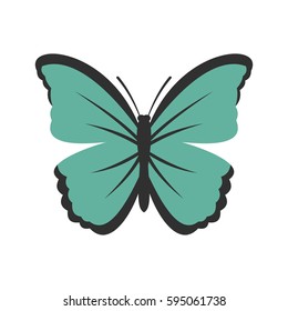 Insect butterfly icon isolated on white background vector illustration