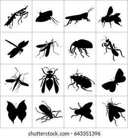 Insect  Butterfly, mantis, fly, grasshopper, beetle