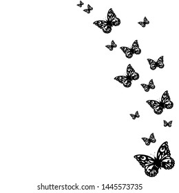 insect butterfly pattern. nature vector background