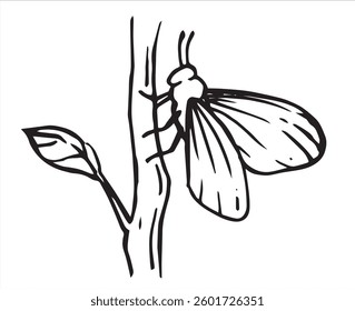 Insect butterfly pest. Vector illustration in sketch style.