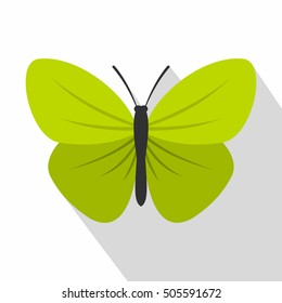 Insect butterfly with small wings icon. Flat illustration of insect butterfly with small wings vector icon for web