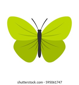Insect butterfly with small wings icon isolated on white background vector illustration