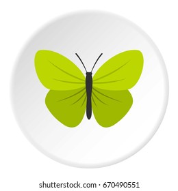 Insect butterfly with small wings icon in flat circle isolated vector illustration for web