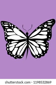 insect butterfly vector decoration