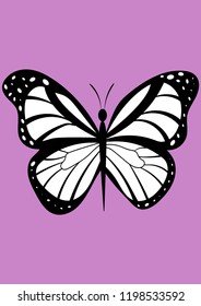 insect butterfly vector decoration