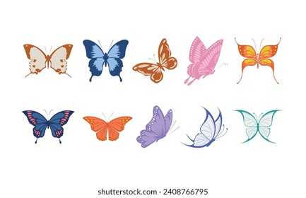 Insect Butterfly Vector Illustration Set