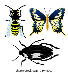 Insect butterfly,bee and bug on white background