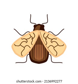 Insektenkartoon-Symbol einzeln