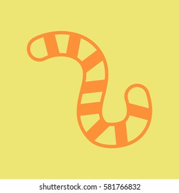 insect caterpillar
