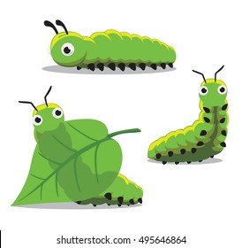 Insect Caterpillar Cartoon Vector Illustration