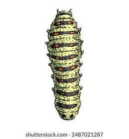 insect caterpillar hand drawn. nature animal, growth cycle, character metamorphosis insect caterpillar vector sketch. isolated color illustration