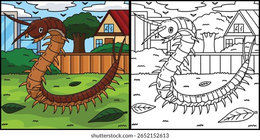Insect Centipede Animal Colored Illustration 
