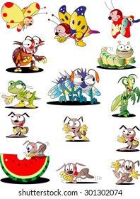 Insect character