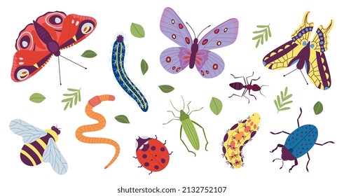 Insect characters. Coloring doodle insects, simple caterpillar, butterfly and bug. Funny trendy beetle and ant, isolated garden wild animals decent vector set