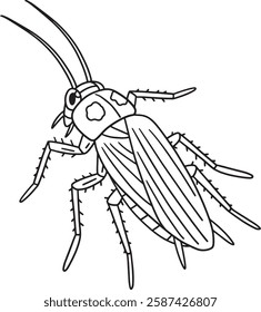 Insect Cockroach Animal Isolated Coloring Page 