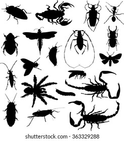 Insect collection