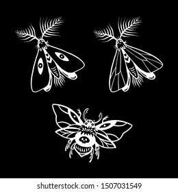 Insect collection. Butterflies and moths are isolated on a black background. Halloween illustration.