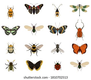 Insect collection. Different beetle bug, butterfly, dragonfly vector collection. Big insect color flat icon set isolated on white. Dangerous pest, beautiful creature entomology symbol illustration