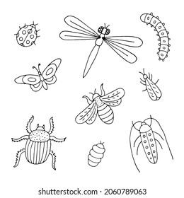 Insect collection. Dragonfly. Caterpillar. Butterfly. Beetle. Ladybug. Larva. Cockroach. Bumblebee. Bee. Doodle. Vector. Drawn by hand. Silhouette. Black and white outline. Coloring.