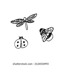 Insect collection. Dragonfly. Ladybug. Bumblebee. Vector. Drawn by hand. Silhouette. Black and white outline.