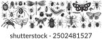 Insect collection illustration, drawing, engraving, ink, line art, vector illustration. Hand-sketched insects collection. Hand drawn beetles, bugs, butterflies, dragonfly, cicada, moths set in vintage