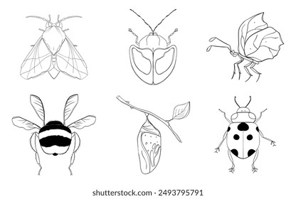 Insect Collection. Illustrations without color. Suitable for coloring. Hand drawing. Vector