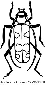 Insect collection isolated on white. Vector illustration. set of illustrations. pests, beetles, insects, animals. black and white image