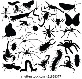 insect collection silhouettes - vector