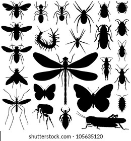 Insect collection - vector silhouette