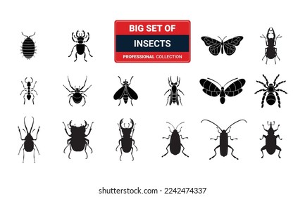 Insect collection  vector silhouette, 3d illustrations