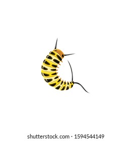 insect color vector icon. Flat design