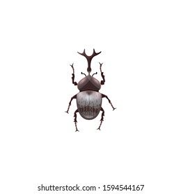 insect color vector icon. Flat design