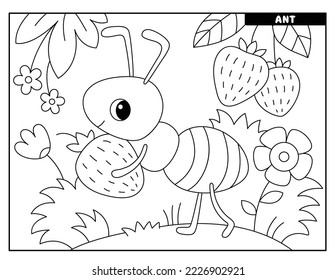 Insect coloring pages for kids