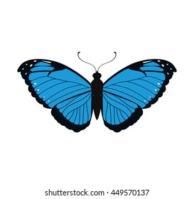 Insect concept represented by blue Butterfly icon. Isolated and flat illustration 