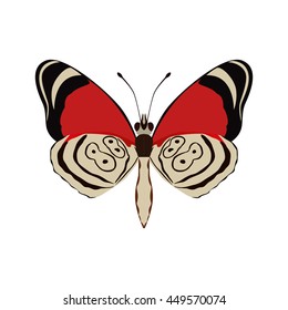 Insect concept represented by Butterfly icon. Isolated and flat illustration 
