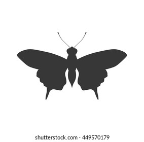 Insect concept represented by Butterfly silhouette icon. Isolated and flat illustration 