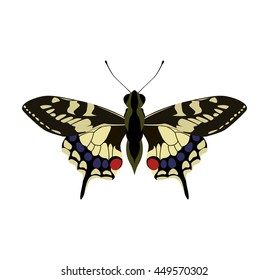 Insect concept represented by Butterfly icon. Isolated and flat illustration 