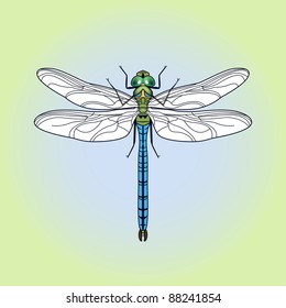 insect dragonfly in cartoon style