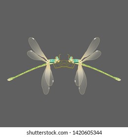 Insect dragonfly flying decor isolated