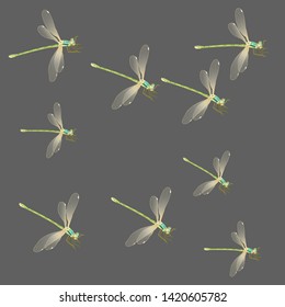 Insect dragonfly flying decor isolated