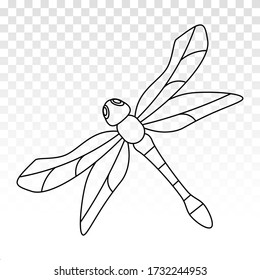 Insect dragonfly line art vector icon for apps or website