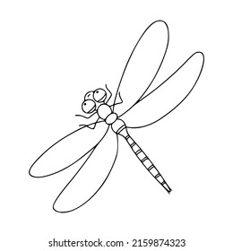 Icono lineal de libélula de insectos. Ilustración vectorial en blanco y negro aislada en fondo blanco