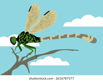 Insect Dragonfly In Twig Illustration