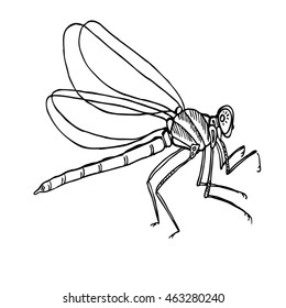 Insect draonfly isolated on white background. Graphics art. Drawing. Line. Vector. Wings. Wild nature.