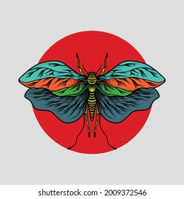 Insect drawing. Creative design. Creative illustration.