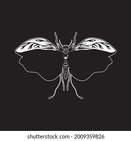 Insect drawing. Creative illustration. Creative design.