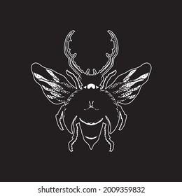 Insect drawing. Creative illustration. Creative design.